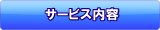 サービス内容